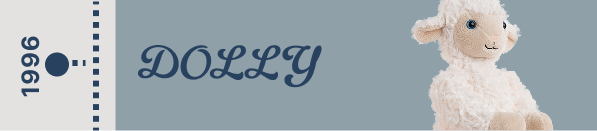 Closed Image