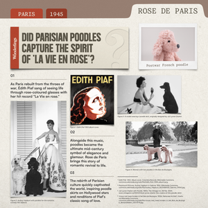 c. 1945 Rose de Paris