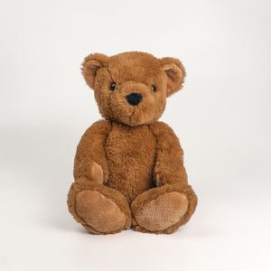 Wonderlings Theodore Teddy Bear plush toy, front view.