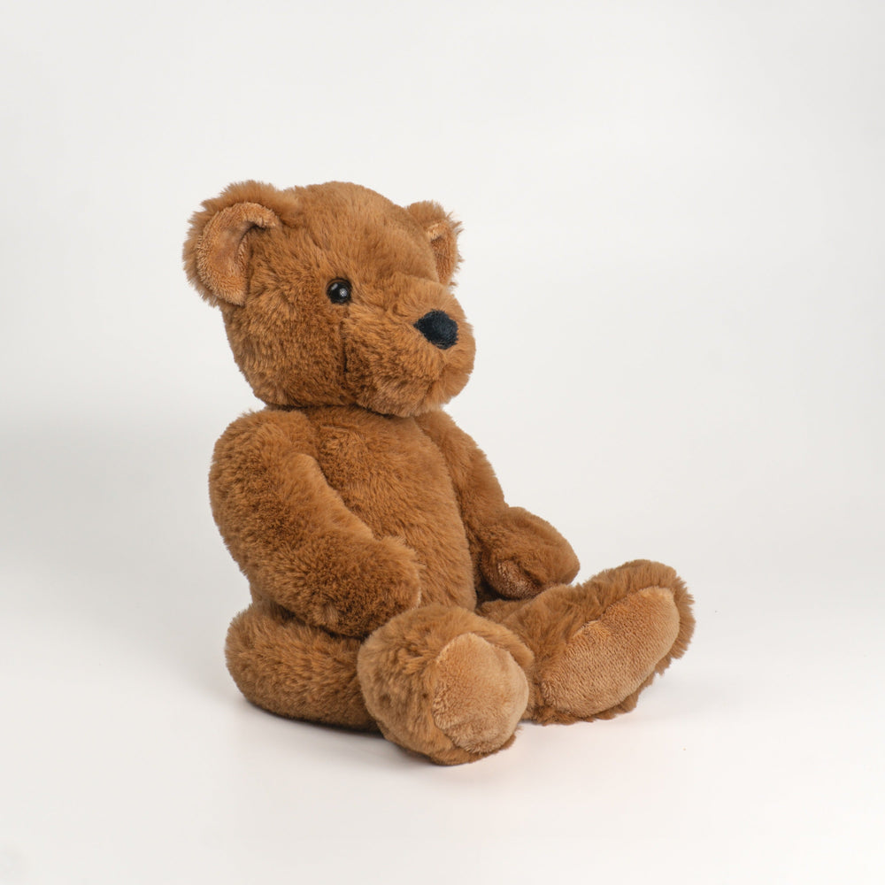 Wonderlings Theodore Teddy Bear plush toy, front view.